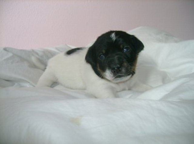 Ali 3 weeks old