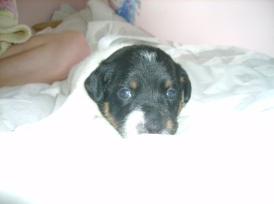 Nell 3 weeks old