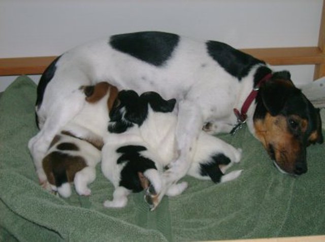 Feeding time