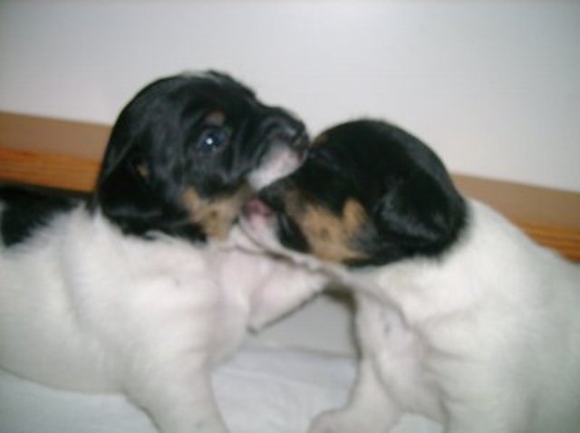 Ali and Nell play