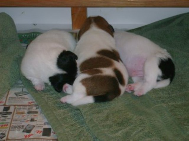 all 3 snuggled