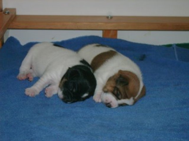 Ali and Daisy