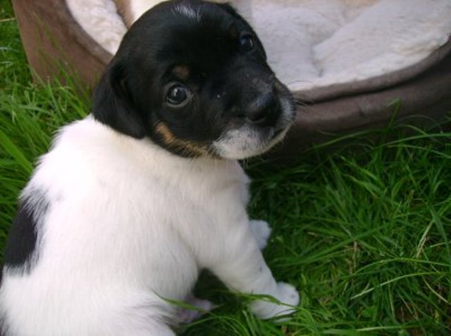 Ali 4 weeks