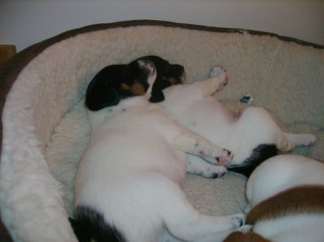 Nell and Ali