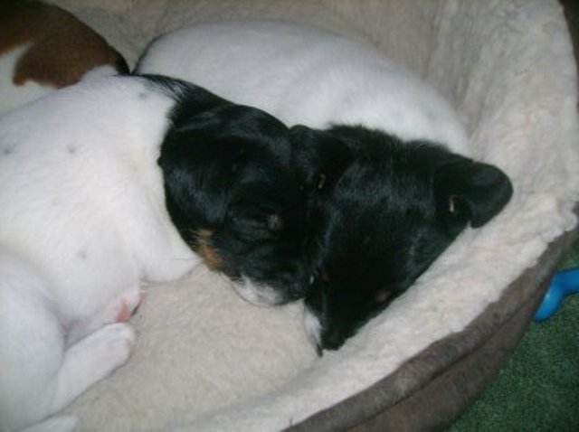 Ali and Nell