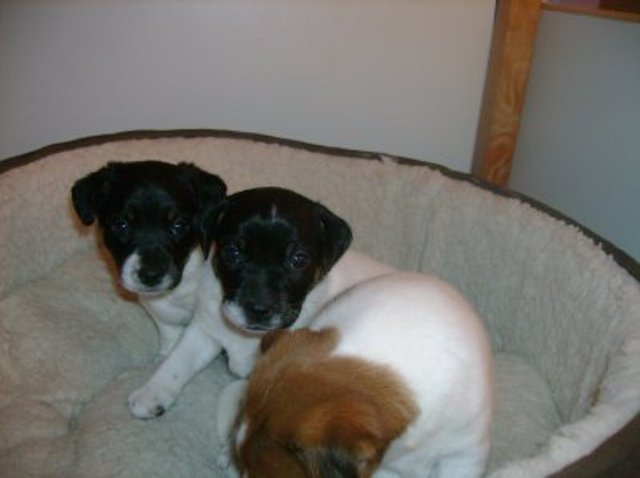 Nell and Ali