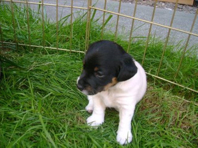Nell outside1