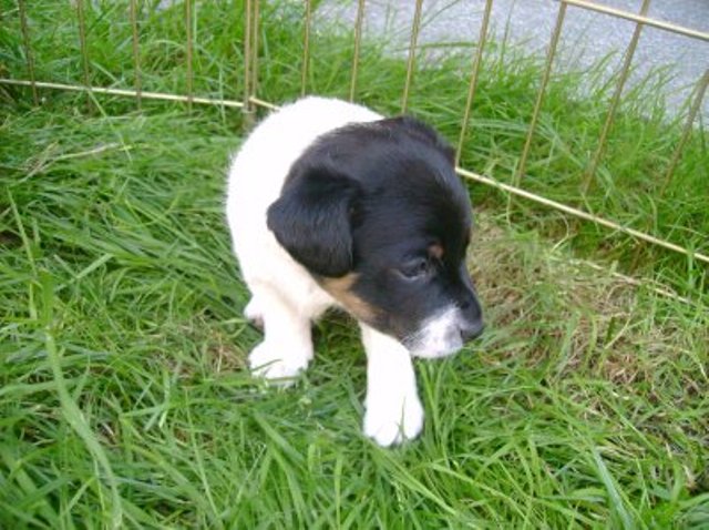 Nell outside2