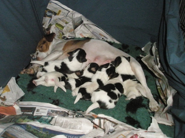 all eating