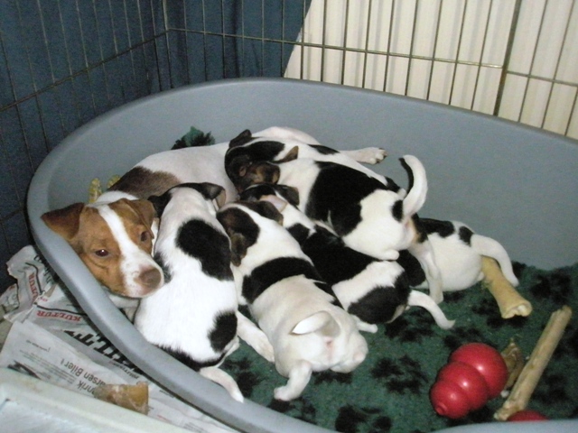 at the milk bar